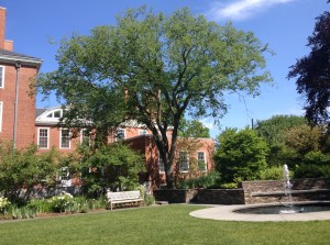 Another view of Sunken Garden just outside Harvard Square.