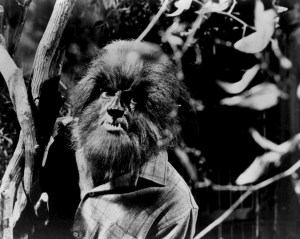 Alex Stevens as the werewolf on 'Dark Shadows.'